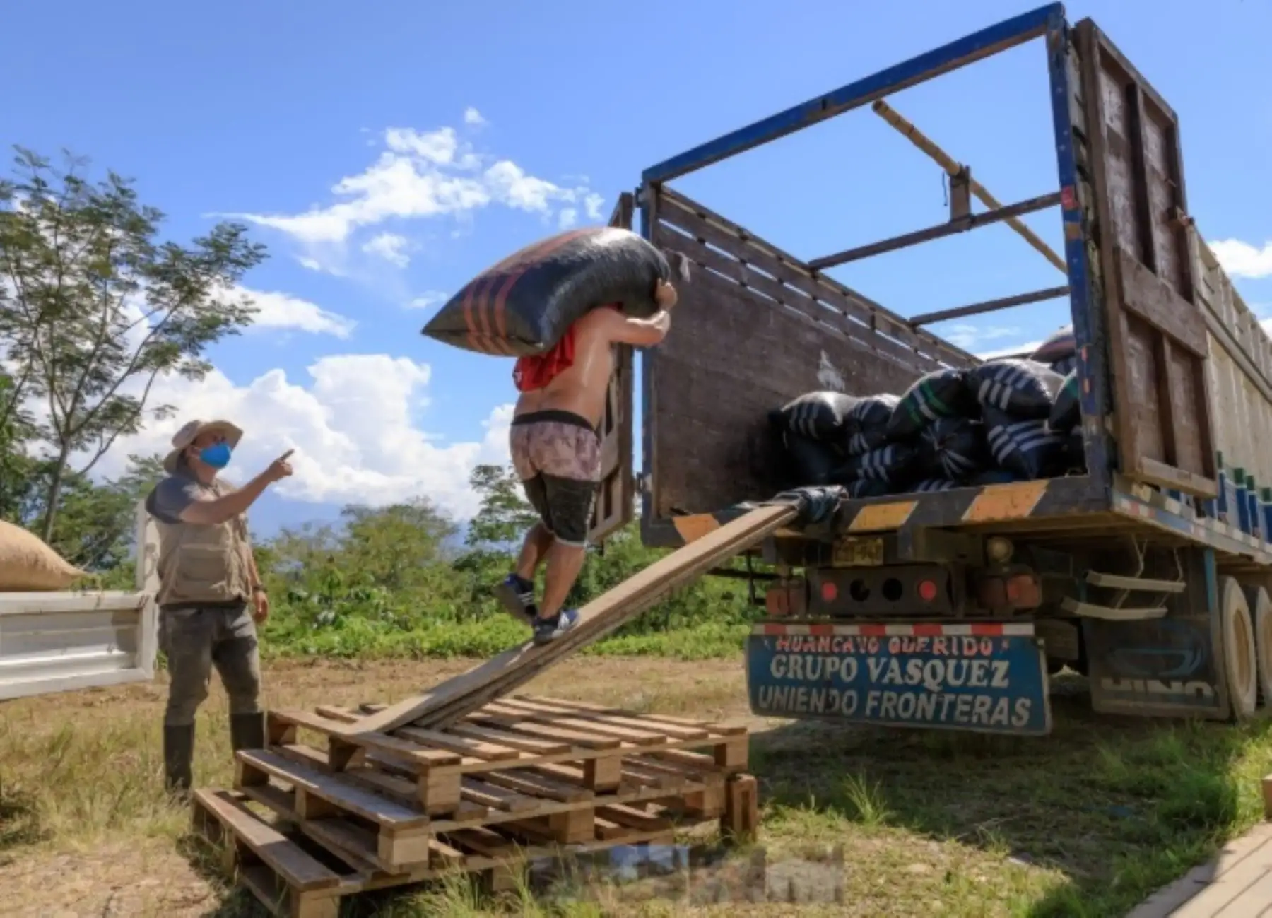 Un total de siete organizaciones de cacaoteros del Valle de los Ríos Apurímac, Ene y Mantaro (Vraem), promovidas por la Comisión Nacional para el Desarrollo y Vida sin Drogas (Devida), concretaron la venta de 20.52 toneladas de cacao de calidad a la empresa Ecoandino, cuyo destino final será mercados de Europa y Norteamérica.