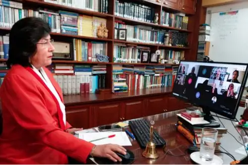 Ledesma presidió la audiencia virtual del TC. ANDINA/Difusión