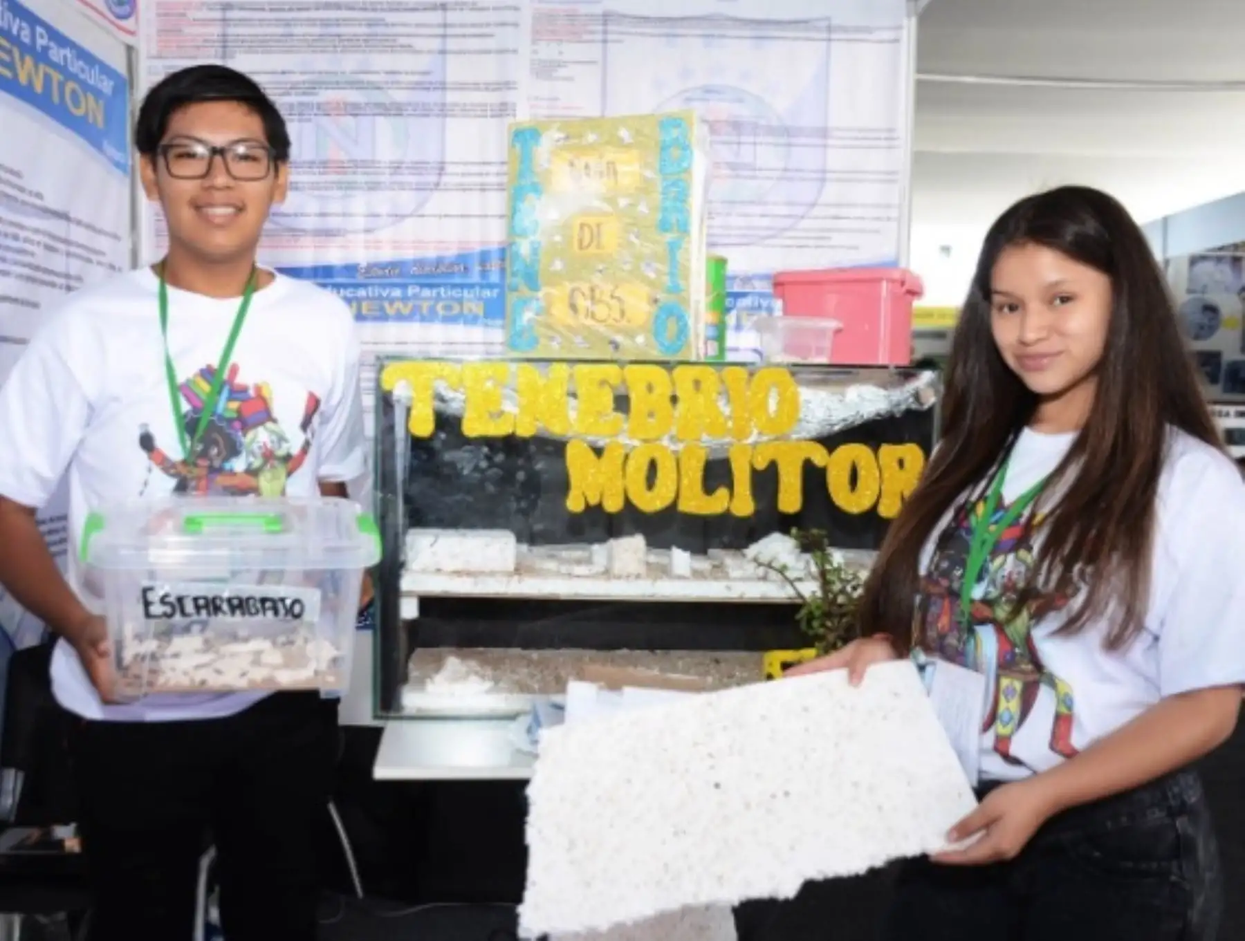 El Programa Nacional de Becas y Crédito Educativo (Pronabec) inició la convocatoria de la Beca Talento Escolar 2020, mediante el cual jóvenes peruanos egresados del nivel de educación secundaria en el año 2019 se beneficiarán con estudios superiores de tipo universitario o técnico en instituciones educativas del país.