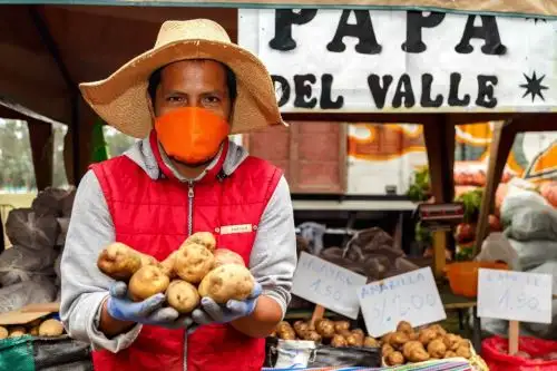Productores ofrecerán todas las variedades de papa sin intermediarios el sábado 30 en Ventanilla.