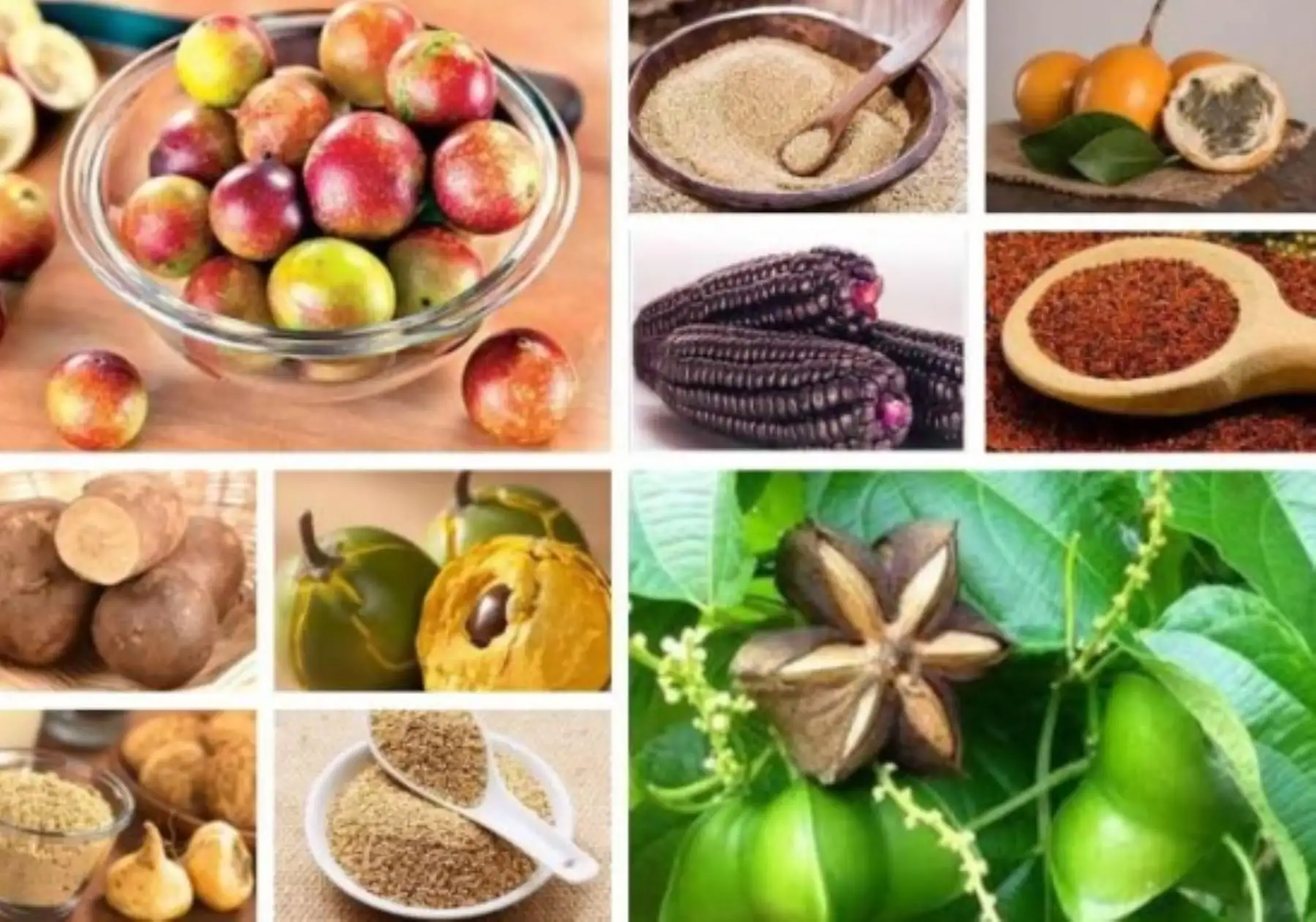 El camu camu, la quinua, la kiwicha, la lúcuma, el sacha inchi, son algunos de los superalimentos peruanos que conquistan paladares y mercados en el mundo. Foto: ANDINA/Difusión.