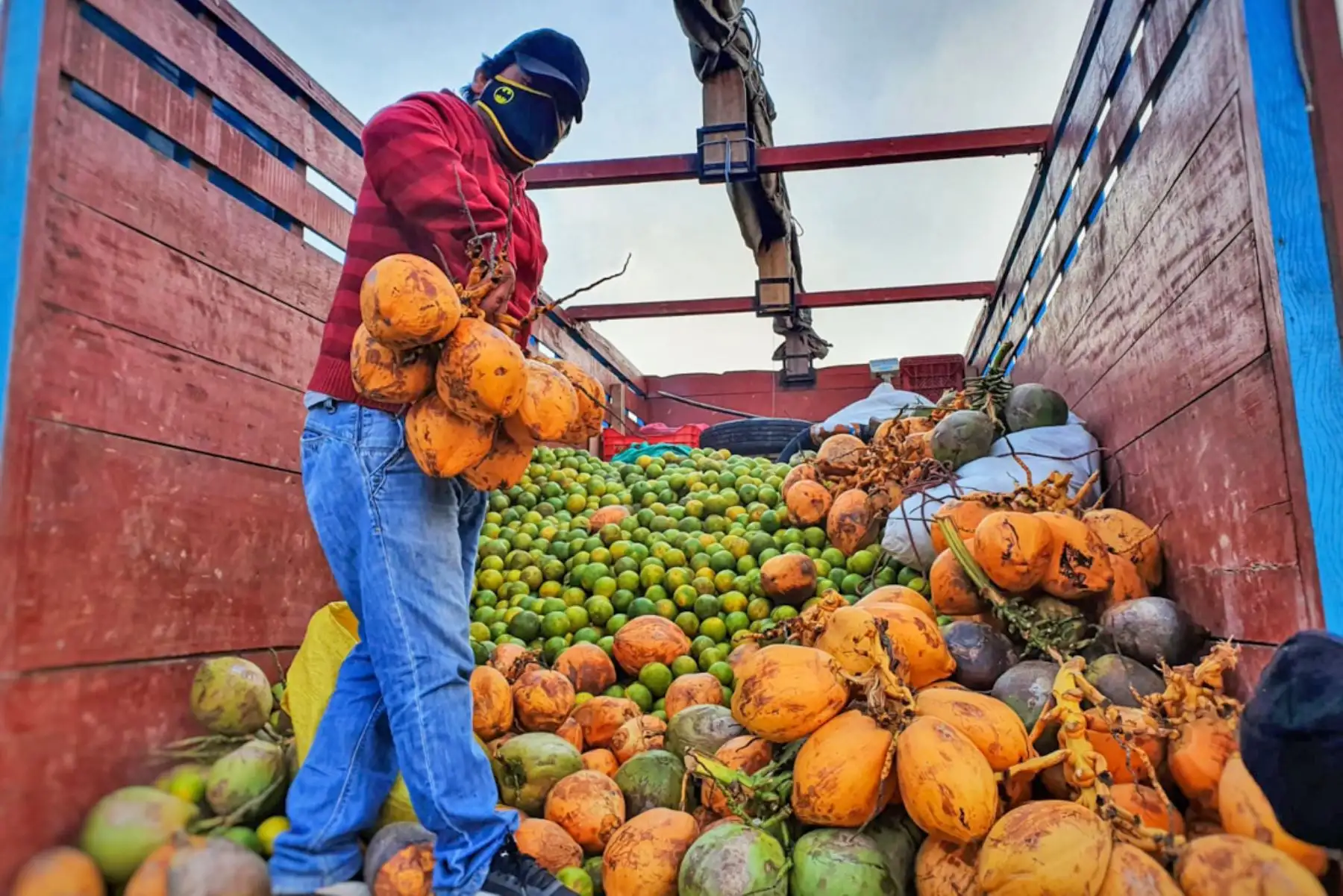 El Mercado Mayorista Movil de la Municipalidad de Lima, que recorre la ciudad con la finalidad de evitar la aglomeración en otros centro de abasto, llegó esta vez al distrito de Lurigancho-Chosica. Foto: ANDINA/Municipalidad de Lima