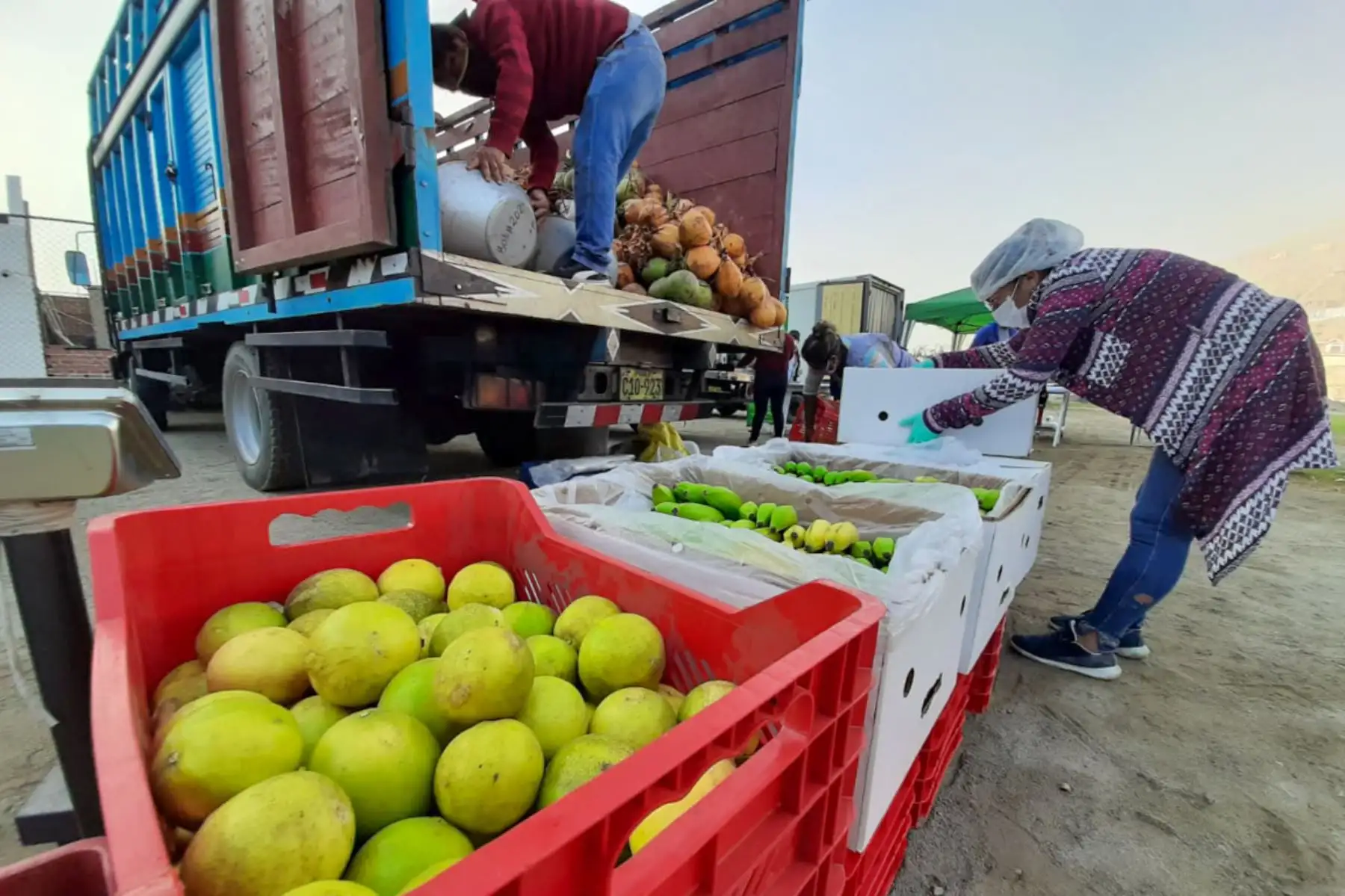 El Mercado Mayorista Movil de la Municipalidad de Lima, que recorre la ciudad con la finalidad de evitar la aglomeración en otros centro de abasto, llegó esta vez al distrito de Lurigancho-Chosica. Foto: ANDINA/Municipalidad de Lima
