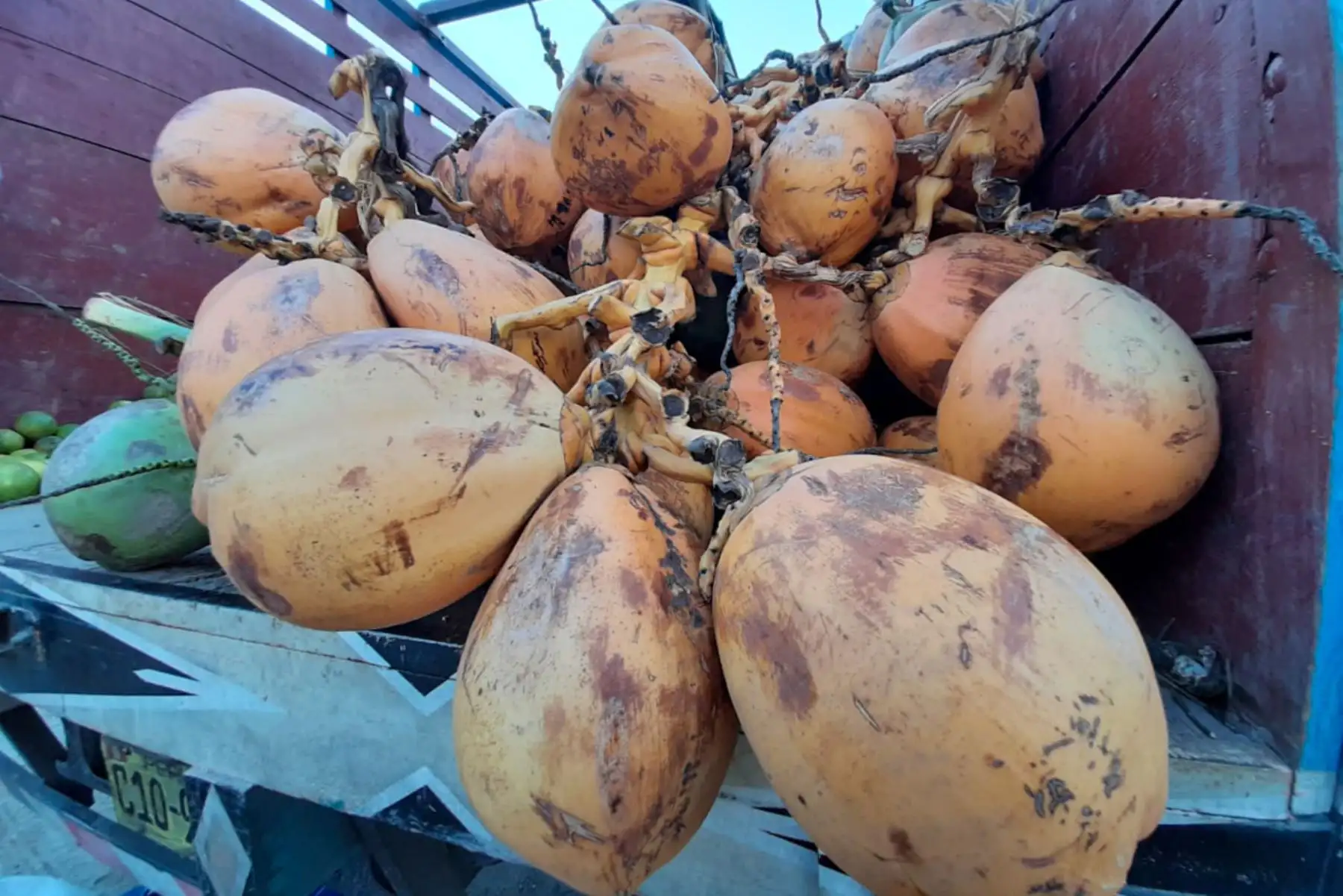 El Mercado Mayorista Movil de la Municipalidad de Lima, que recorre la ciudad con la finalidad de evitar la aglomeración en otros centro de abasto, llegó esta vez al distrito de Lurigancho-Chosica. Foto: ANDINA/Municipalidad de Lima