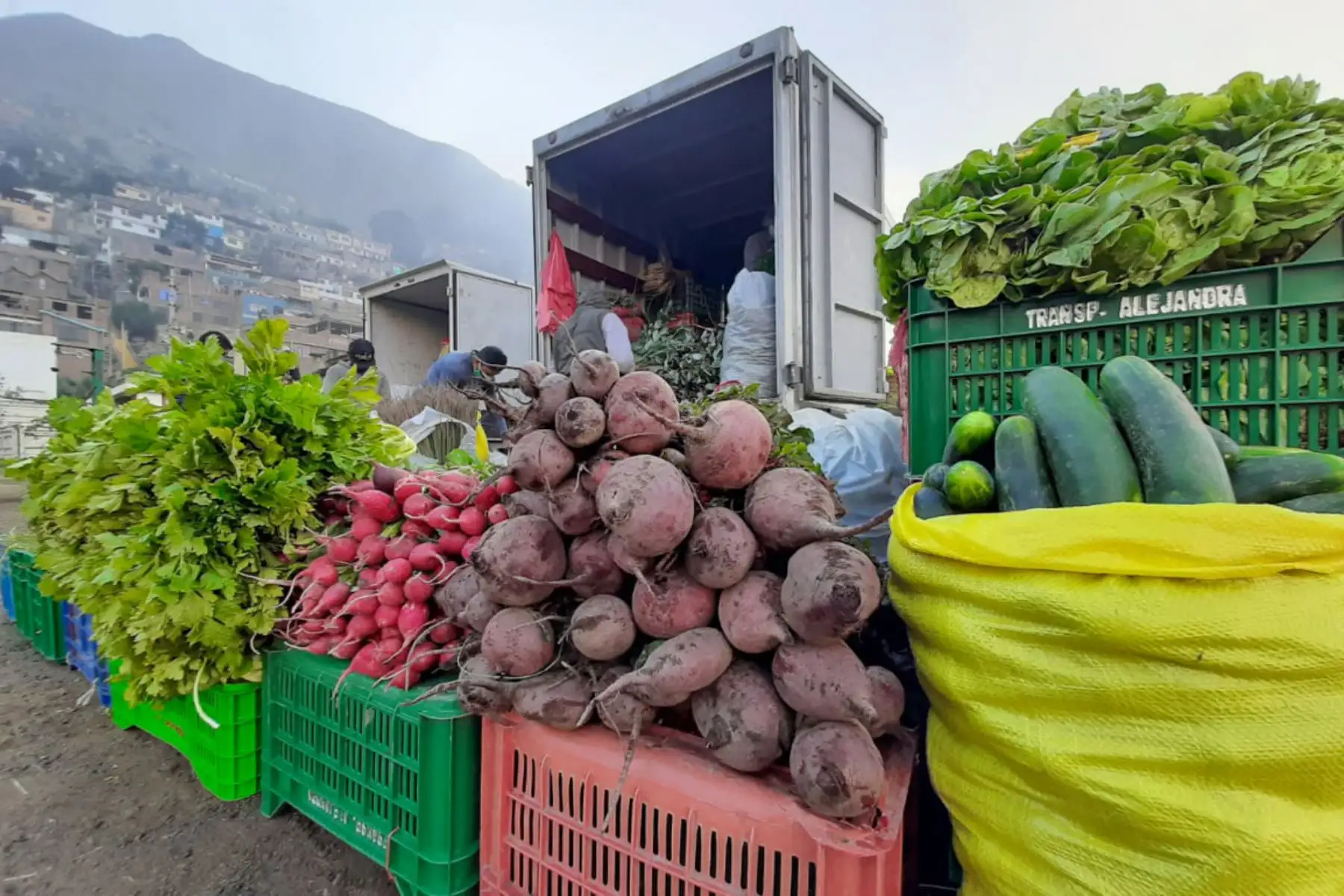 El Mercado Mayorista Movil de la Municipalidad de Lima, que recorre la ciudad con la finalidad de evitar la aglomeración en otros centro de abasto, llegó esta vez al distrito de Lurigancho-Chosica. Foto: ANDINA/Municipalidad de Lima