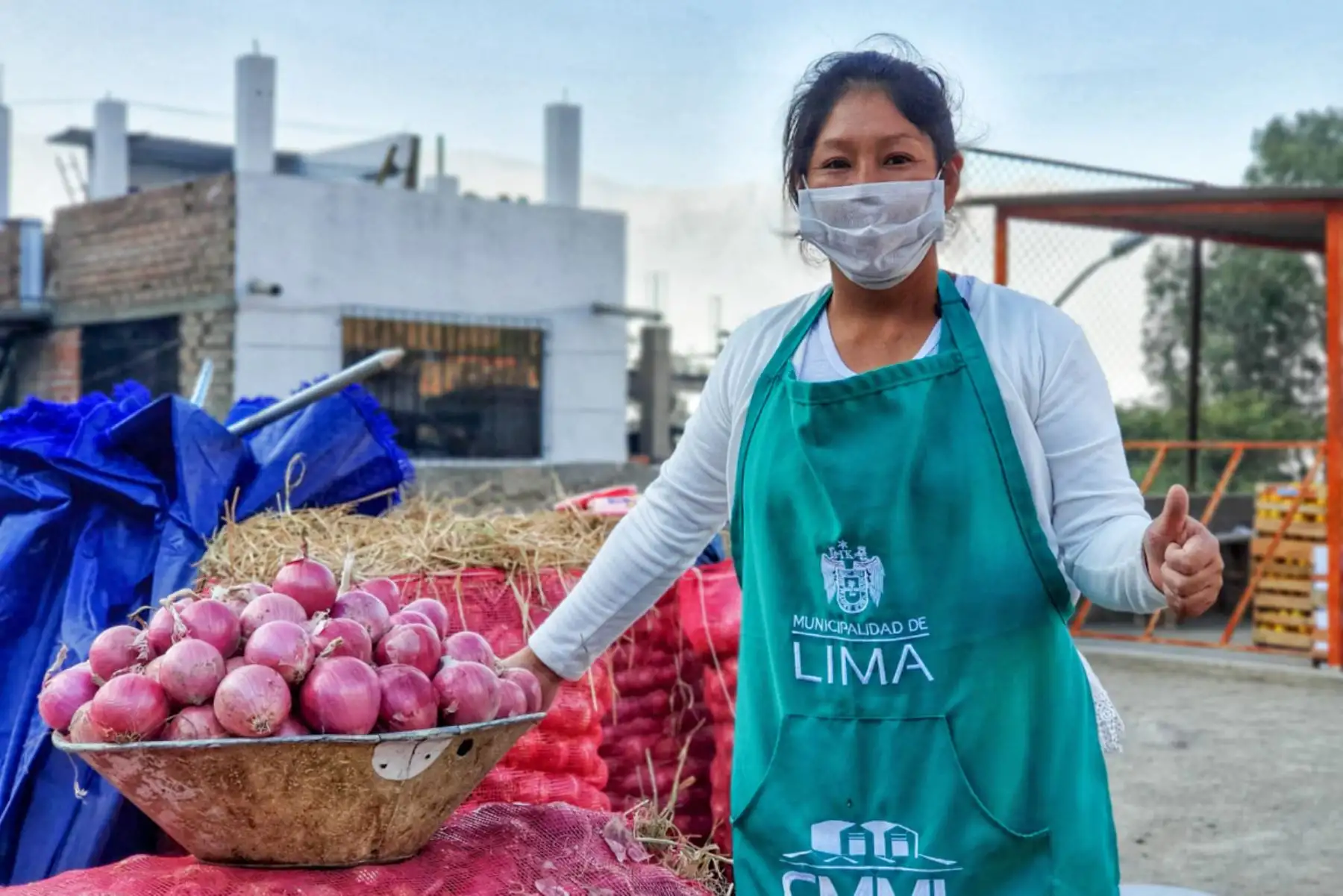 El Mercado Mayorista Movil de la Municipalidad de Lima, que recorre la ciudad con la finalidad de evitar la aglomeración en otros centro de abasto, llegó esta vez al distrito de Lurigancho-Chosica. Foto: ANDINA/Municipalidad de Lima