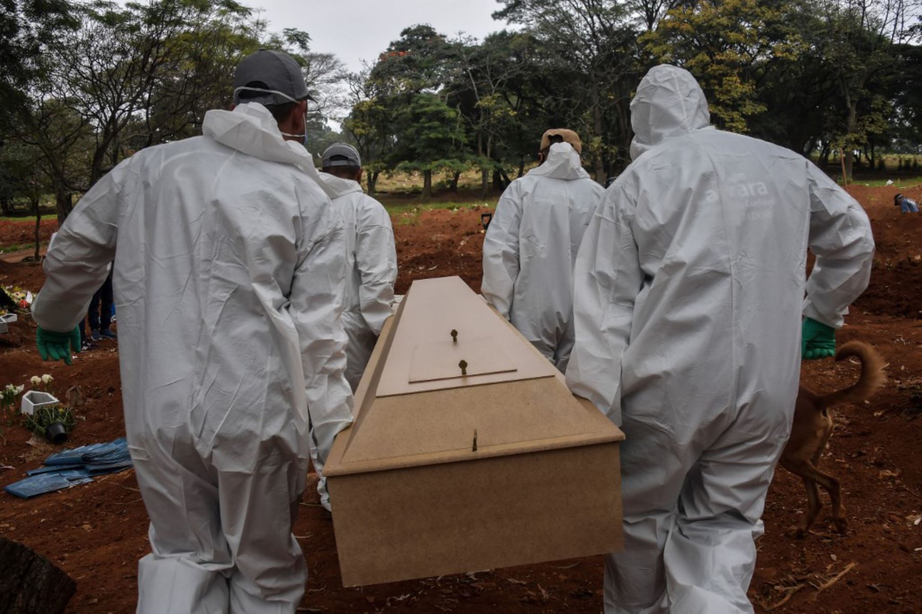 Los empleados llevan el ataúd de una persona que murió de covid -19 en el cementerio de Vila Formosa, en las afueras de Sao Paulo.
Foto: AFP
