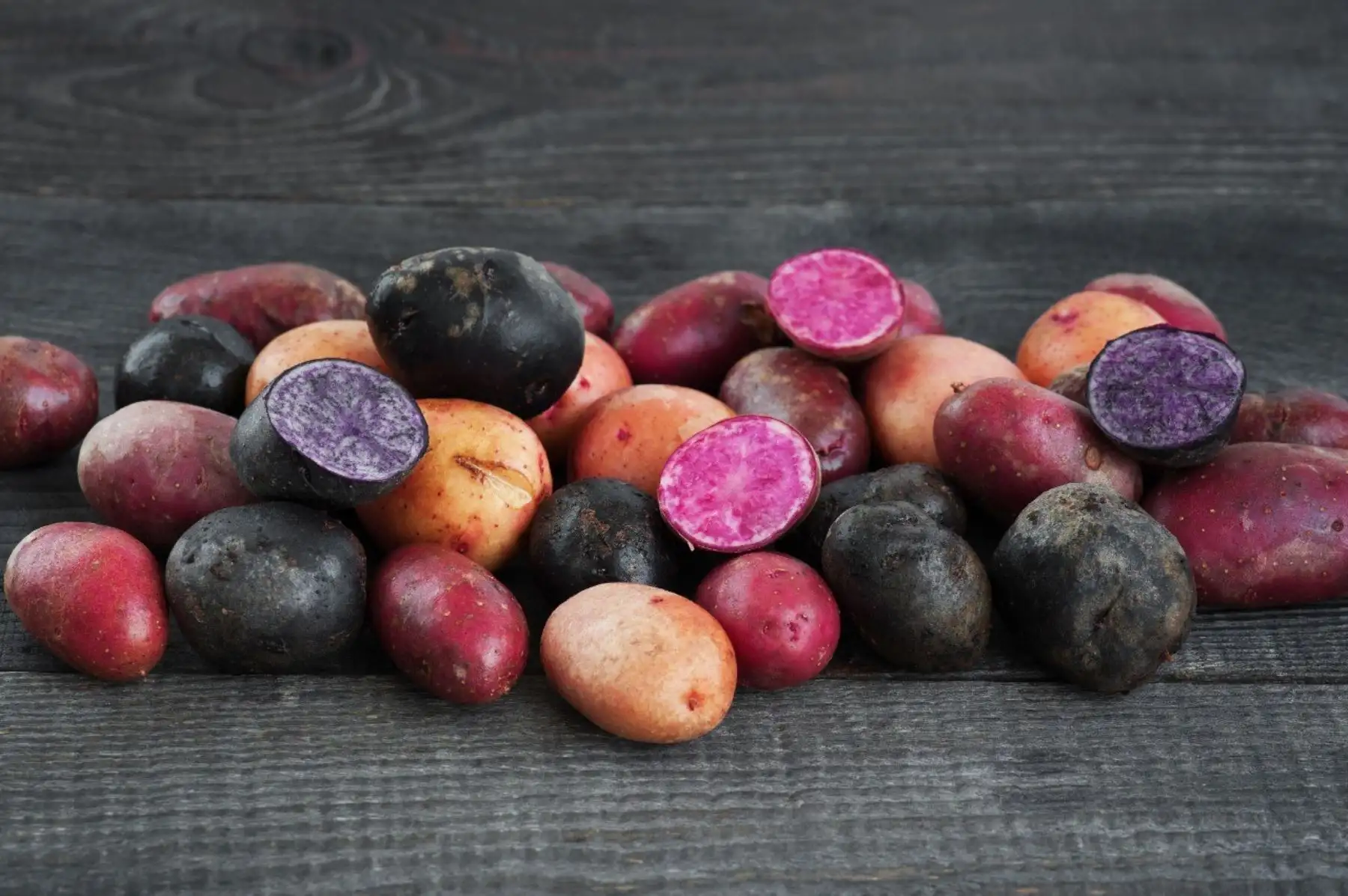papas nativas