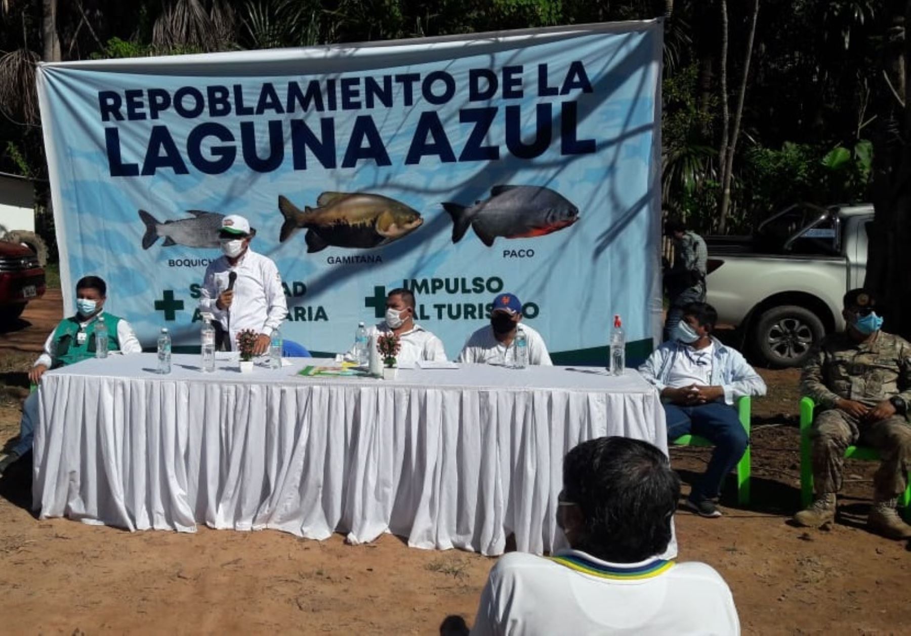 San Martín potenciará su acuicultura con especies amazónicas y priorizará esta actividad en la Fase 1 de la reactivación económica de la región.