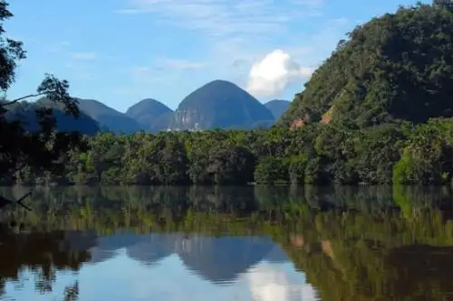 Continuará restauración ecológica del área de influencia del Parque Nacional Cordillera Azul con fondo de Corea. Foto: ANDINA/Difusión