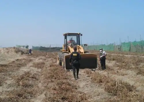 Autoridades frustran intento de invasores de habilitar áreas de cultivo en el interior del complejo arqueológico Chan Chan, en Trujillo.