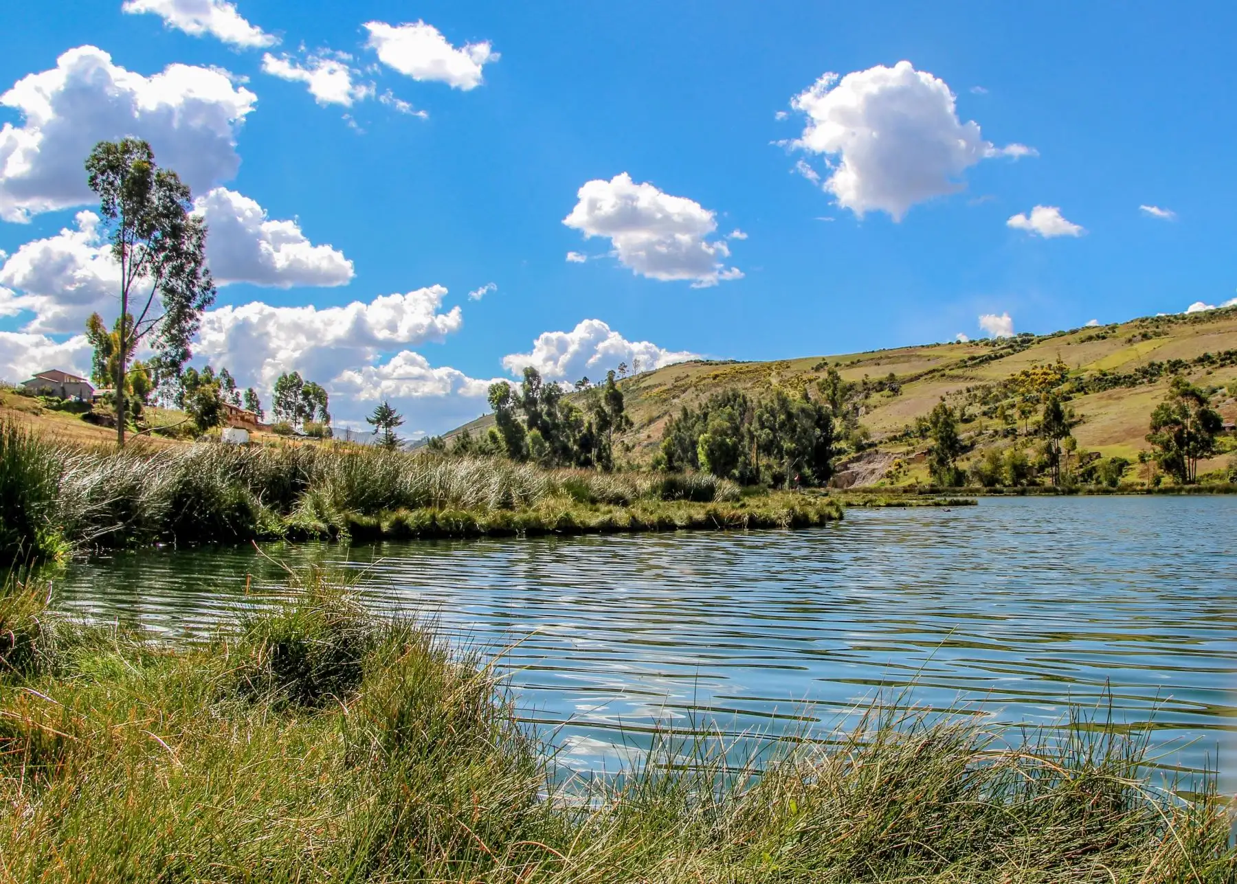 Junín celebra recuperación de la laguna Ñahuimpuquio, que ahora muestra aguas cristalinas y la recuperación de su flora y fauna. Foto: ANDINA/difusión.