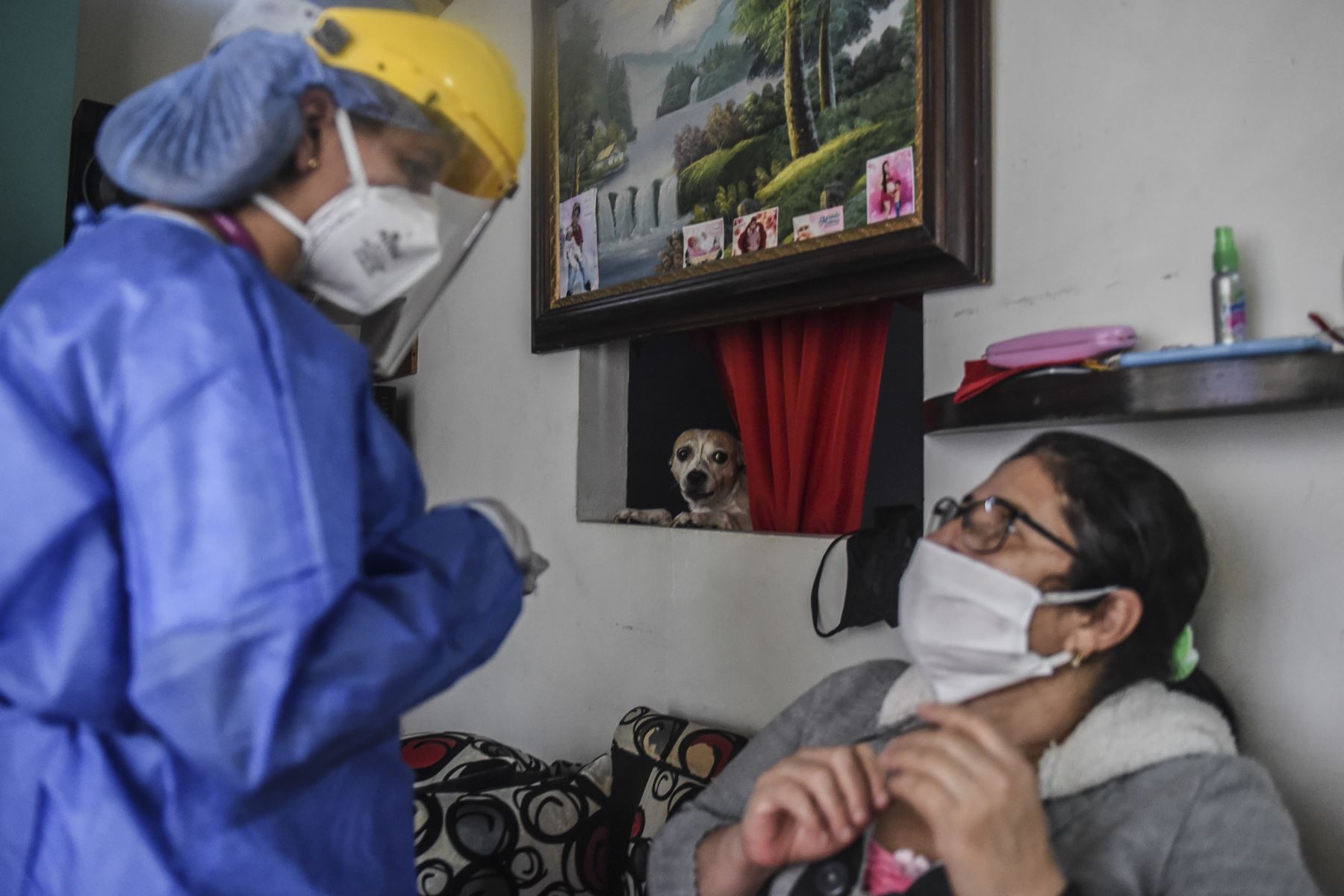 Un perro mira a un trabajador de salud que habla con una mujer después de tomar una muestra para una prueba COVID-19 durante una prueba aleatoria en el barrio de Aranjuez en Medellín. Foto: AFP