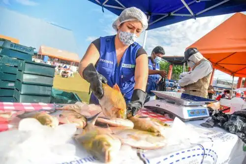 Foto: ANDINA/@GoreLoretoOf.