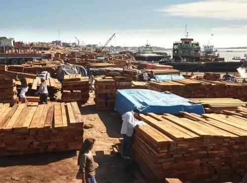 Empresas forestales se preparan para iniciar sus operaciones como parte de las actividades contempladas en la Fase 1 de la reactivación económica. ANDINA/Difusión