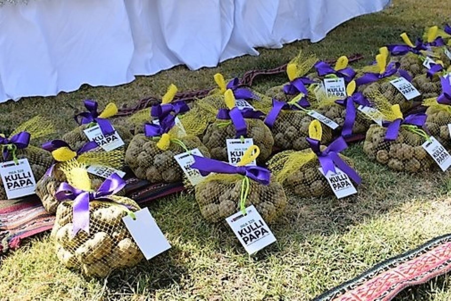 Kulli papa, una de las variedades de papa desarrollada por los profesionales del INIA del Ministerio de Agricultura.