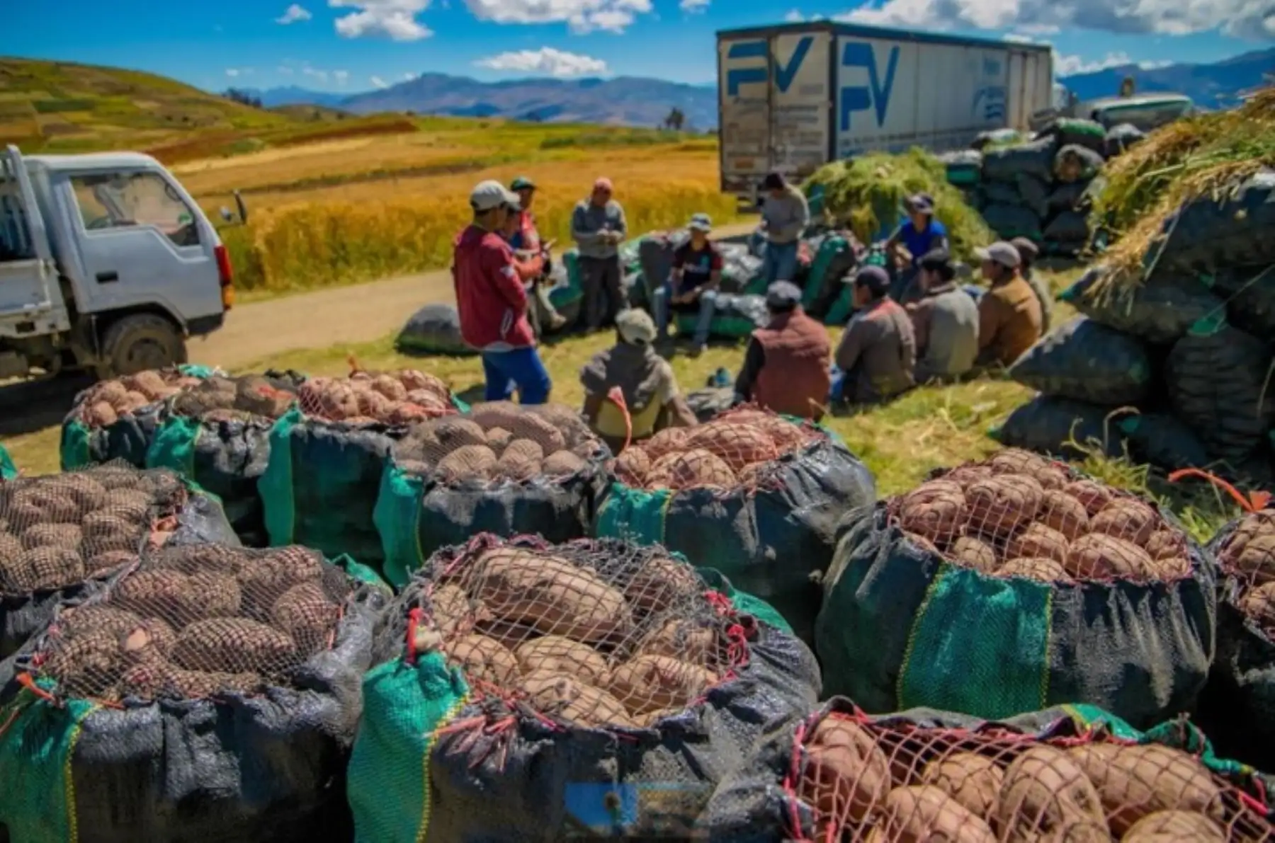 Con el objetivo de seguir promoviendo la reactivación económica de la agricultura, así como ofertar productos a precios accesibles y rescatar la cosecha de los más de 15,000 agricultores y productores del distrito de San Jerónimo en Apurímac, la comuna distrital en coordinación con el Ministerio de Agricultura y Riego (Minagri) envió a Lima 120 toneladas de papa para que se vendan en los mercados de la capital.