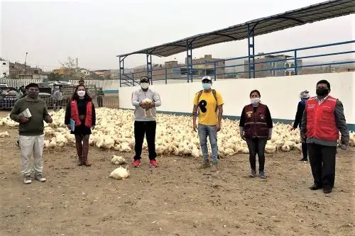 Donación de pollos en favor de familias vulnerables ante el covid-19 en el distrito de Pachacámac.
