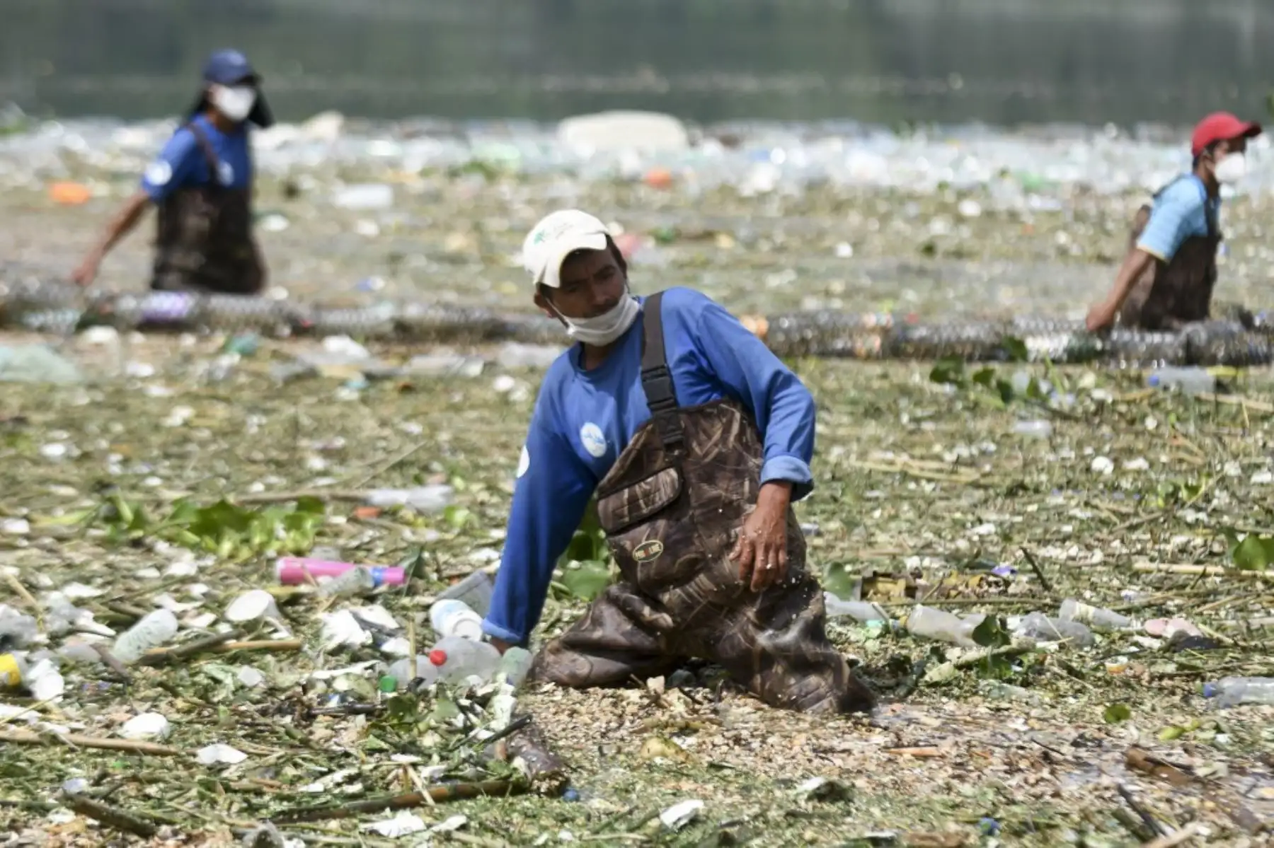 Los trabajadores de la Autoridad del Lago Amatitlán (AMSA) recolectan basura arrastrada por las lluvias y retenida por una barrera flotante instalada en uno de los afluentes del Lago en Amatitlán, 30 kms al sur de la Ciudad de Guatemala. Foto: AFP