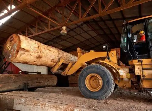 Serfor implementa consultorio virtual para informar sobre el protocolo forestal que deben implementar las empresas del sector antes del reinicio de sus actividades. ANDINA/Difusión