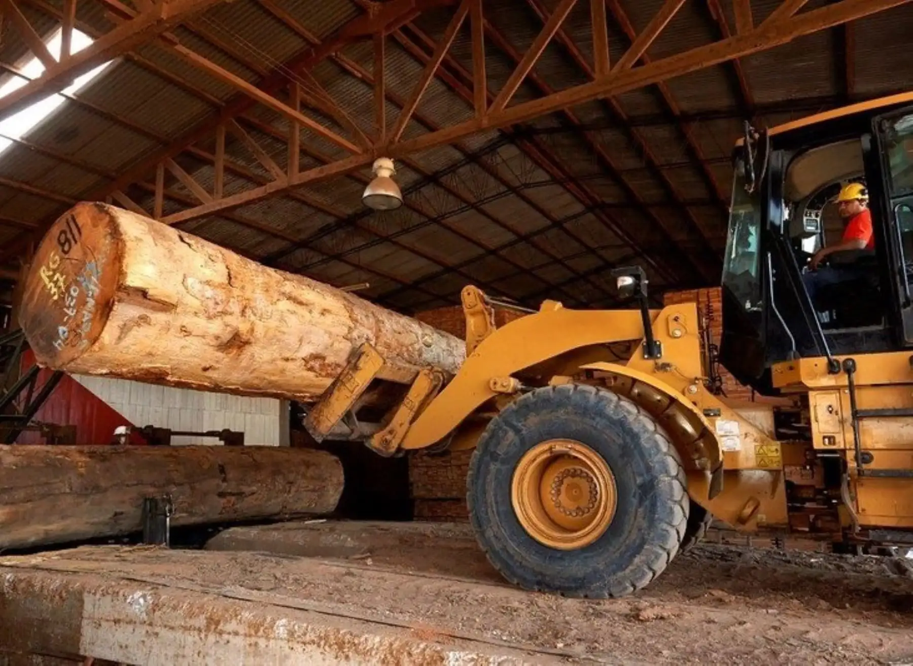 Serfor implementa consultorio virtual para informar sobre el protocolo forestal que deben implementar las empresas del sector antes del reinicio de sus actividades. ANDINA/Difusión