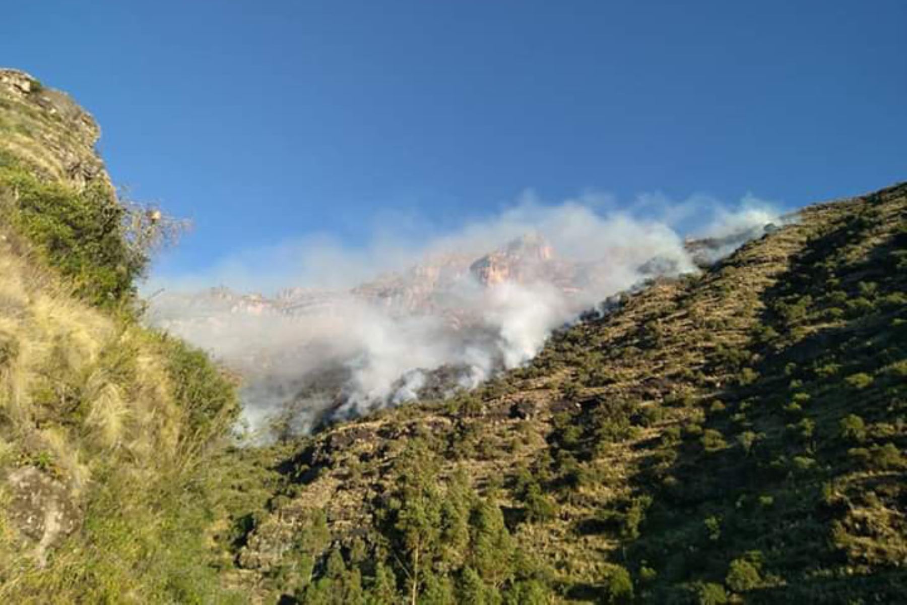 En la provincia cusqueña de Acomayo se registra un incendio forestal de grandes proporciones. Foto: ANDINA/Difusión