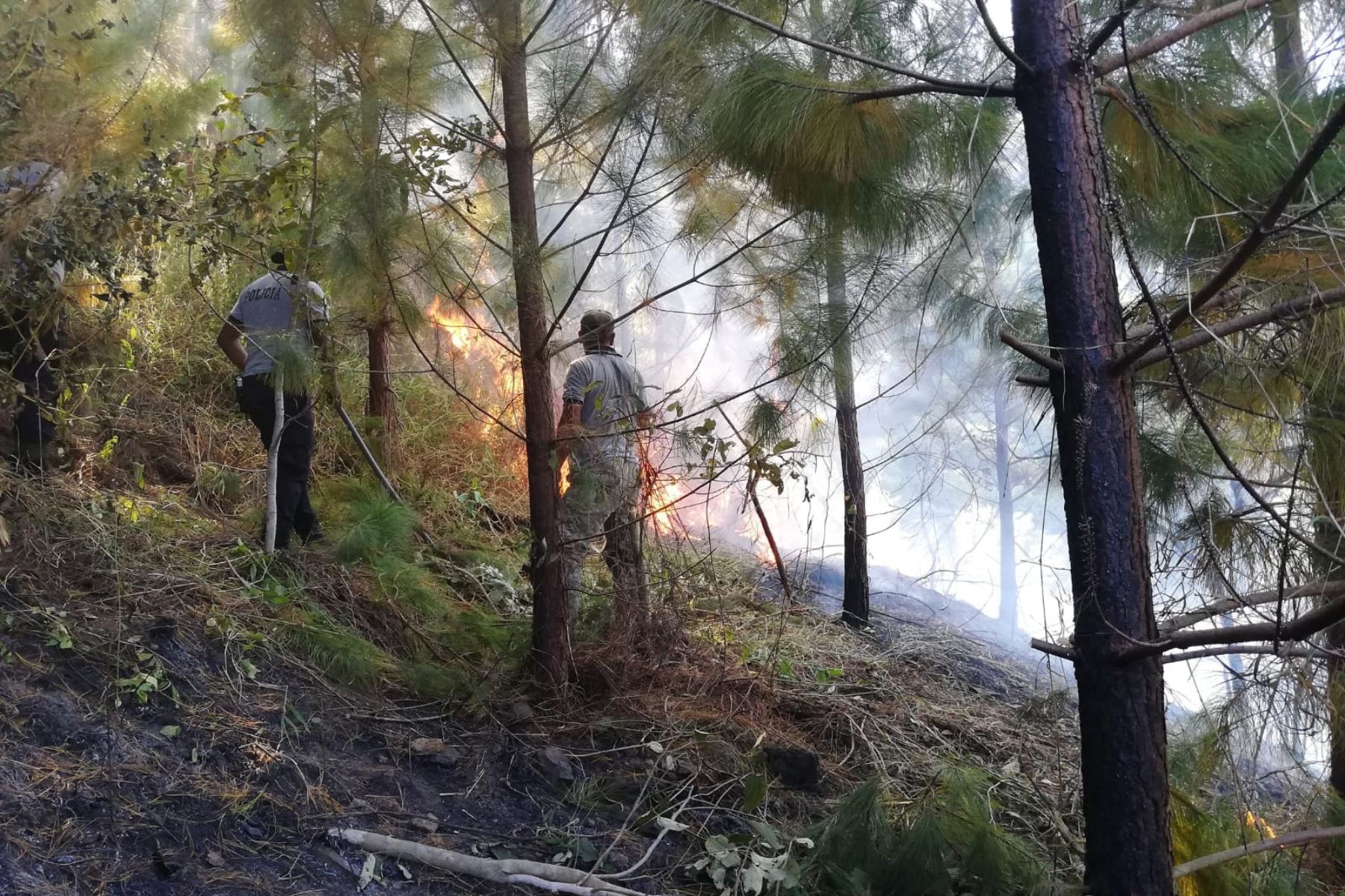 En la provincia cusqueña de Acomayo se registra un incendio forestal de grandes proporciones. Foto: ANDINA/Difusión