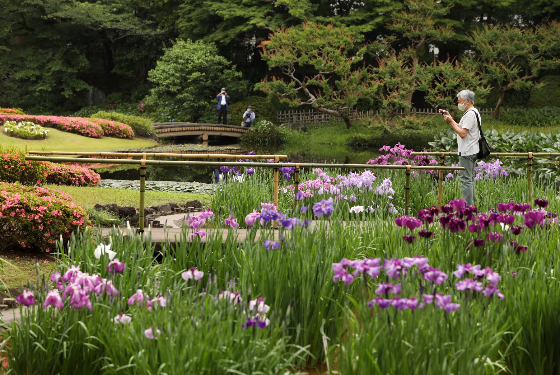 Los visitantes pasean por los jardines del Palacio Imperial en Tokio, Japón. Los jardines han reabierto al público después de estar cerrados durante unos dos meses debido a la propagación de la pandemia de coronavirus. Foto: EFE