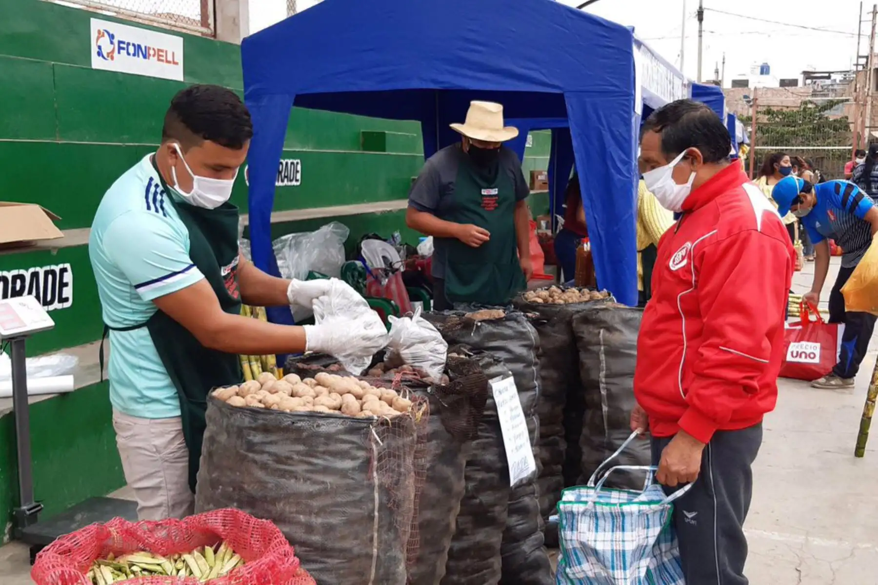 Más de 30 productores agropecuarios venden productos de primera necesidad a través del programa " De la Chacra a la Olla " del ministerio de Agricultura en el distrito de El Porvenir- La Libertad.
Foto:Minagri