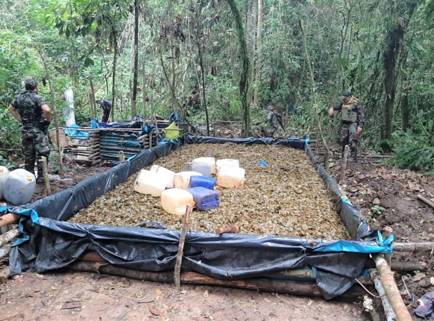 Policía Nacional destruye laboratorio e insumos para elaboración de droga en la selva de la región Pasco. ANDINA/Difusión