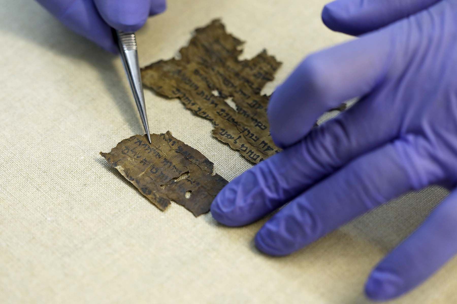 Con el objetivo de arrojar luz sobre el tema, investigadores israelíes estudiaron el ADN de fragmentos de manuscritos redactados en pieles. Foto: AFP