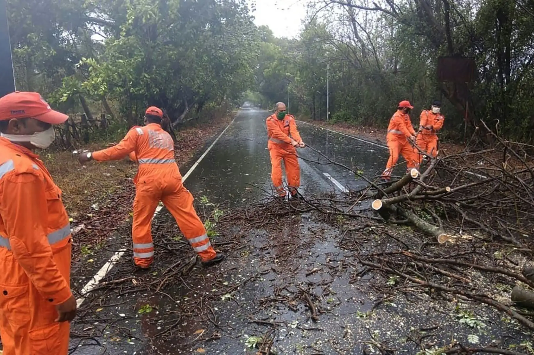 Personal de la NDRF despejando árboles caídos de una carretera en la ciudad de Alibag del distrito de Raigad, después del aterrizaje del ciclón Nisarga en la costa occidental de India. Foto: AFP