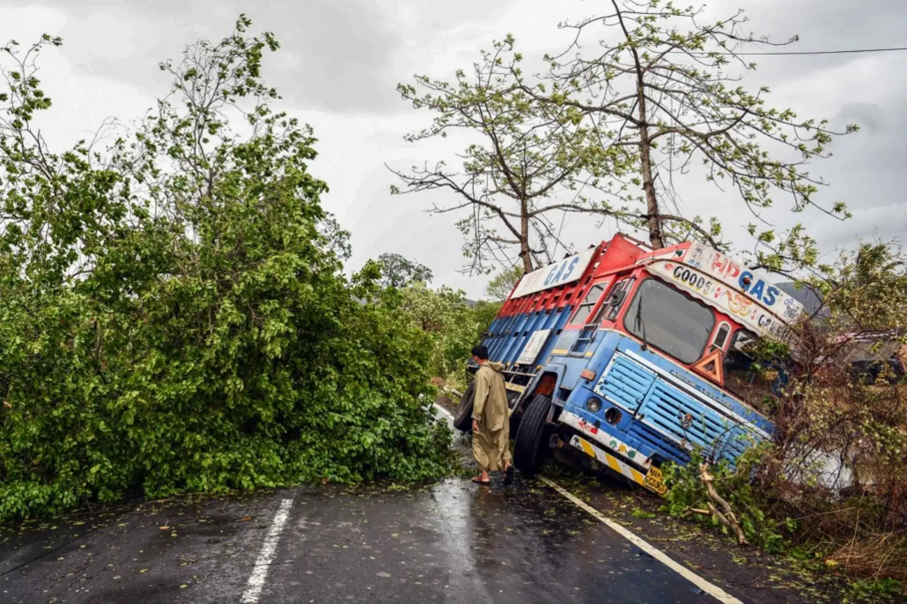 Se ve un tronco fuera de la carretera cerca de árboles desarraigados que han caído en una carretera principal en la ciudad de Alibag, distrito de Raigad. Foto: AFP