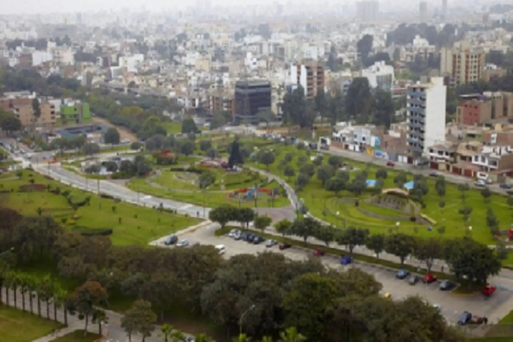 El Serfor continuará con la iniciativa de 10 millones de árboles urbanos promovida por la plataforma Mi Ciudad y está diseñando una herramienta que permitirá el registro y monitoreo de los árboles que se plantan por encargo de las municipalidades.