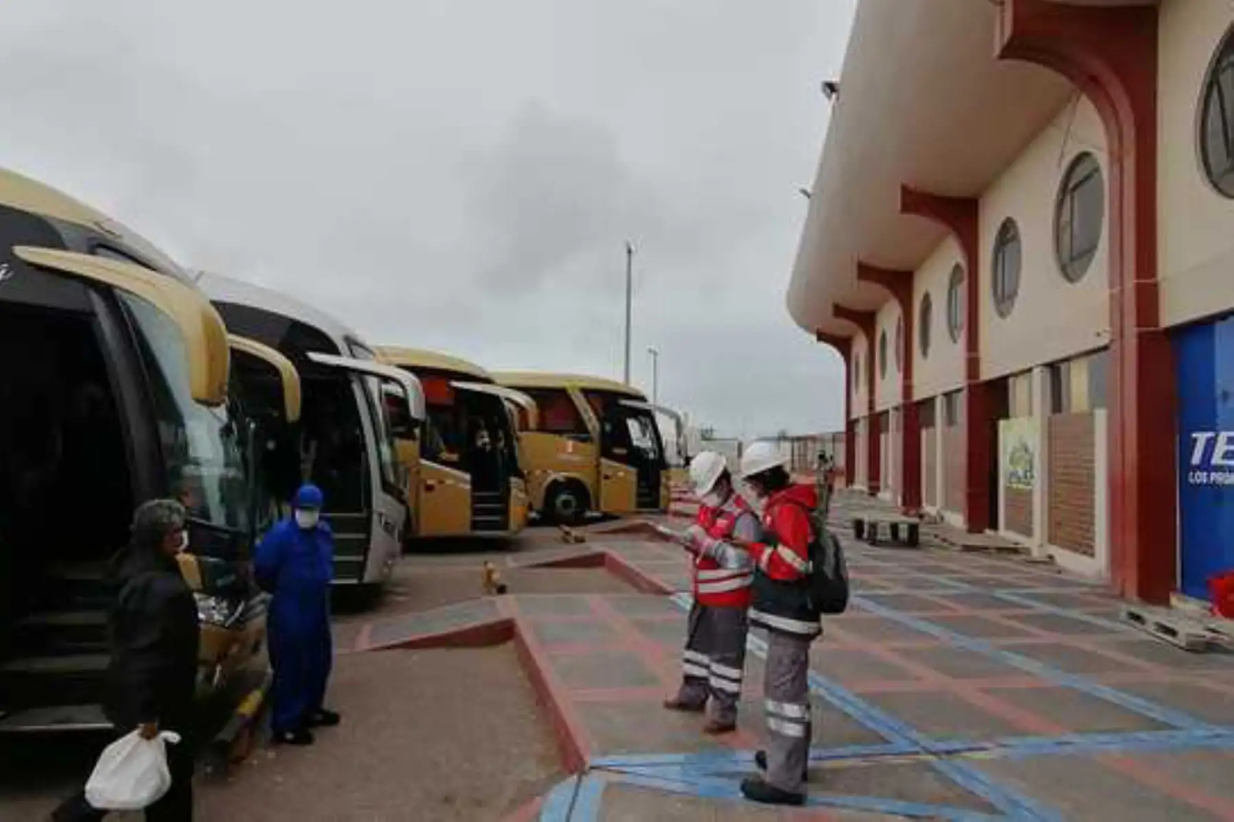 Ante el estado de emergencia por el coronavirus, el MTC apoyó el traslado humanitario de más de 330 personas entre Lima y Moquegua. Foto: MTC
