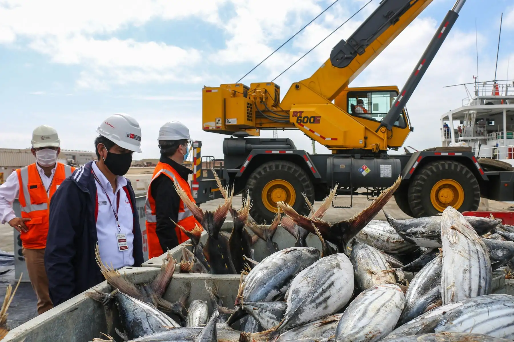 Los trabajos de modernización del puerto de Paracas están otra vez en marcha. El titular del Ministerio de Transportes y Comunicaciones, Carlos Lozada, supervisó el reinicio de la obra, en la cual se invertirá USD 34.9 millones, entre los meses de junio a diciembre de 2020. 
Foto: ANDINA/MTC