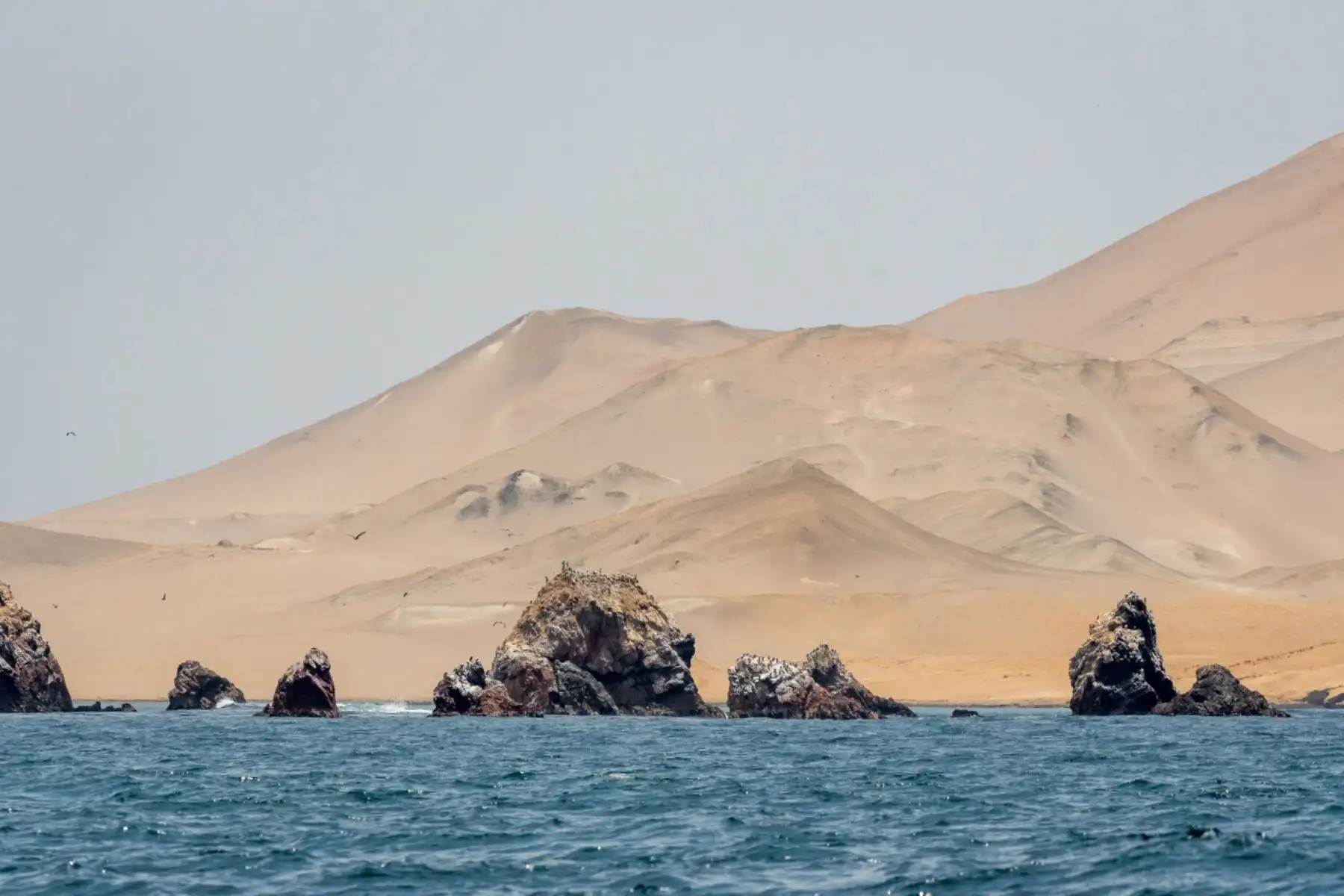 En el Día Mundial de los Océanos que se conmemora cada 08 de junio, recordamos que el mar peruano es uno de los más ricos del mundo y genera en promedio 250 mil empleos y $ 3200 millones de dólares anuales. Foto: Cortesía/ Andre Baertschi