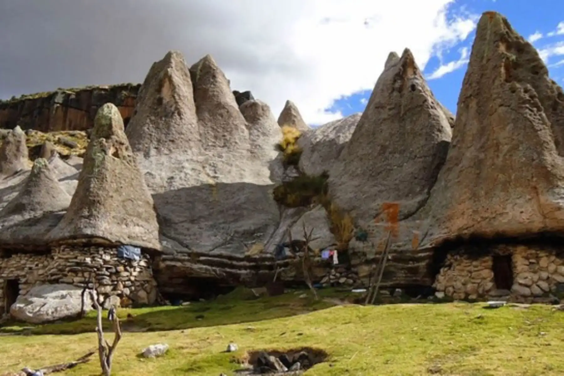 Cada bosque posee una historia fascinante. Algunos se formaron por la deglaciación y otros por depósitos de material volcánico. Foto: Difusión