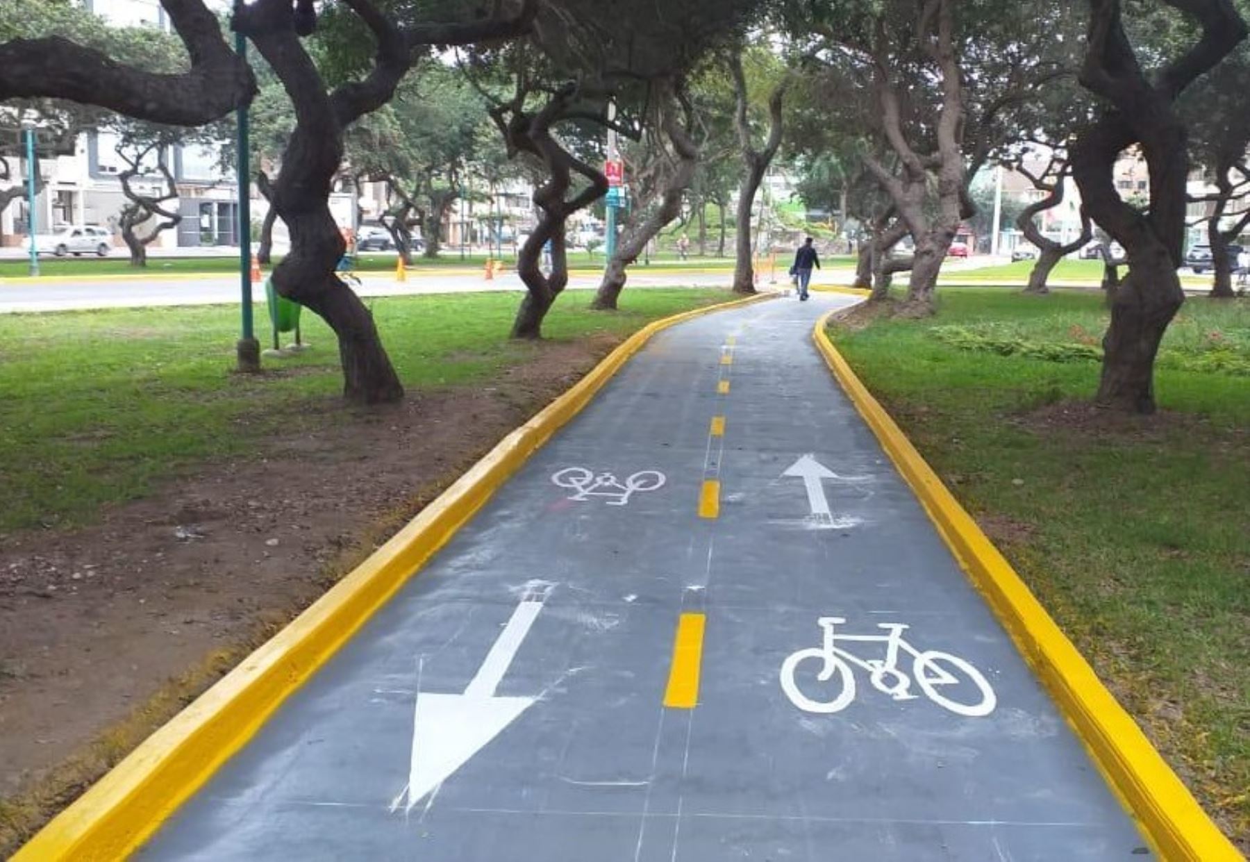 A través del plan “Muévete en bici”, el distrito genera espacios para promover un nuevo sistema de transporte. Foto: municipalidad de San Borja.