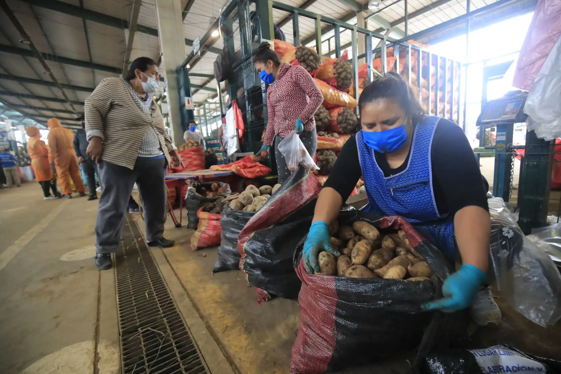 Vendedora de papas del Mercado Mayorista de Lima. 

Foto: ANDINA/Juan Carlos Guzmán Negrini.