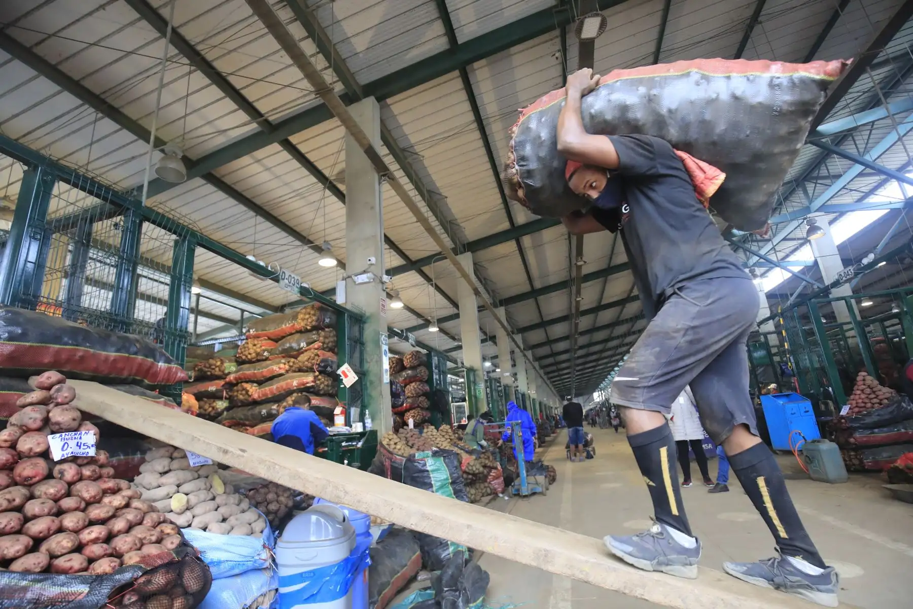 Estibador del Mercado Mayorista de Lima. Foto: ANDINA/Juan Carlos Guzmán Negrini.