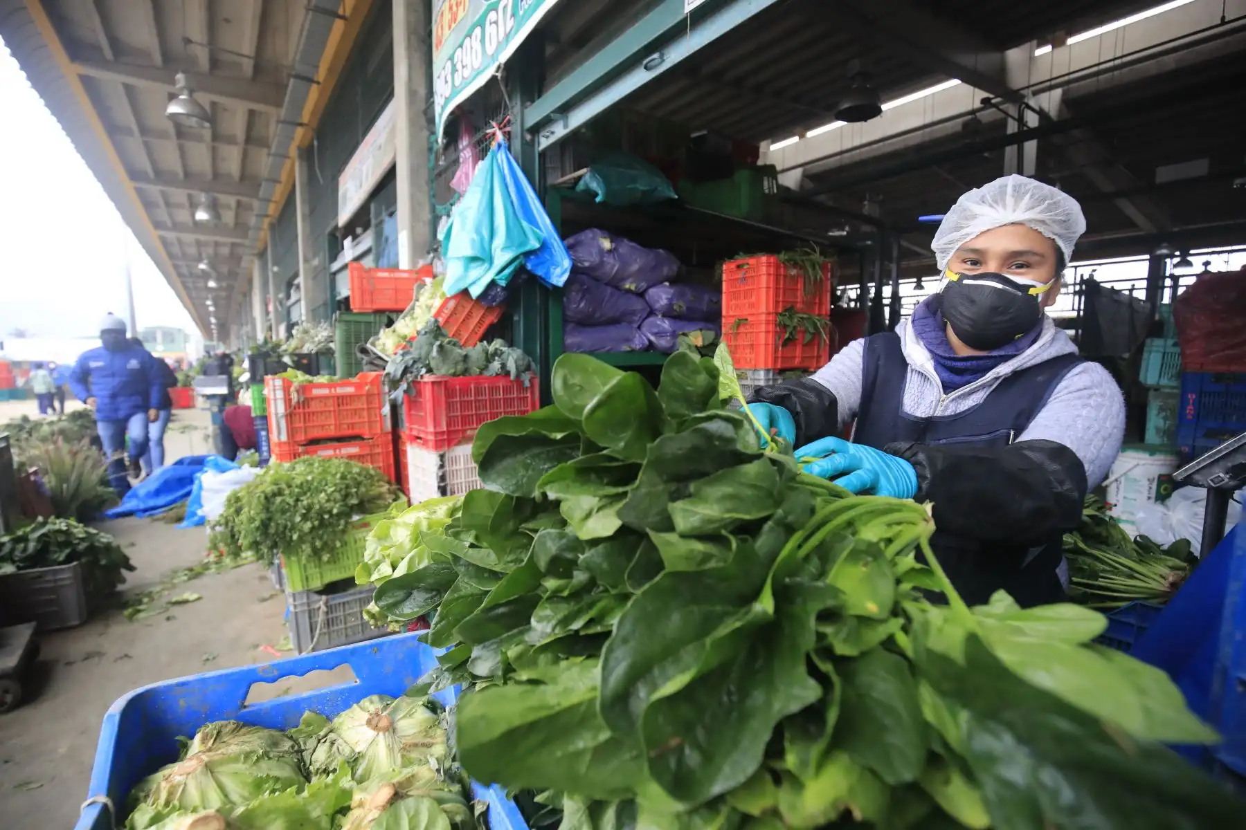 Vendedora de hortalizas del Mercado Mayorista de Lima. 

Foto: ANDINA/Juan Carlos Guzmán Negrini.