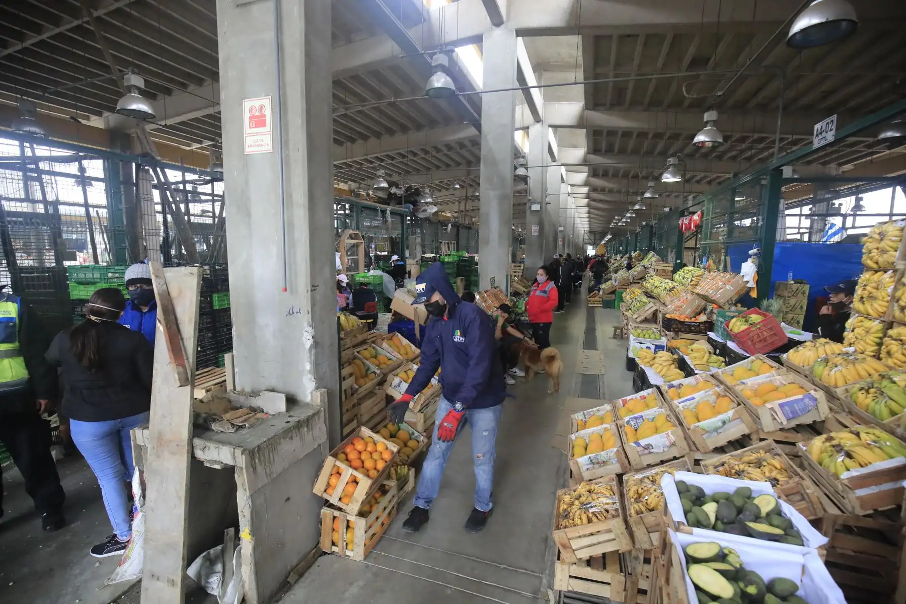 Mercado Mayorista de Lima. 

Foto: ANDINA/Juan Carlos Guzmán Negrini.