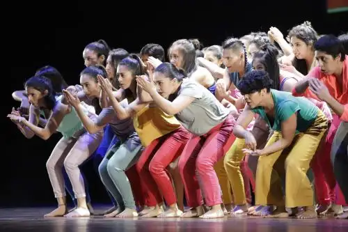Artistas serán beneficiarios de líneas de apoyo al arte.