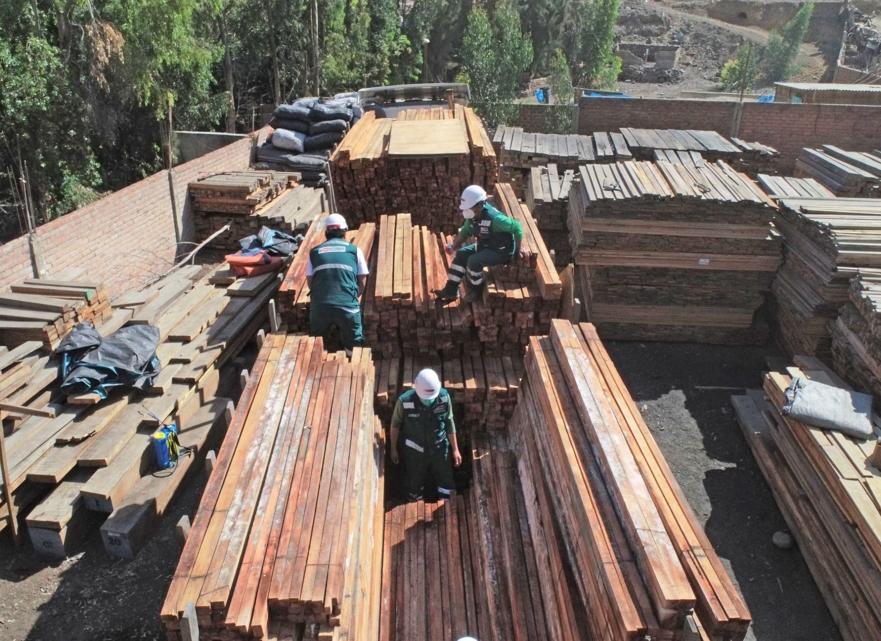 Autoridades intervienen camión que trasladaba 15,000 pies tablares de madera de presunto origen ilegal procedente de Ucayali. ANDINA/Difusión