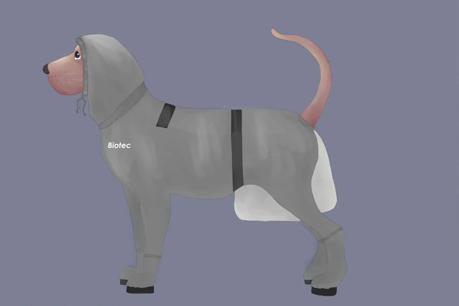 Traje de aislamiento para mascotas