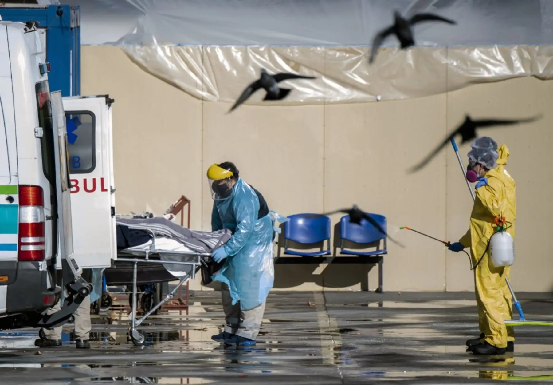 Los trabajadores de la salud llevan a un paciente con síntomas del nuevo coronavirus COVID-19 después de ser ingresado en el hospital, en Santiago. Foto: AFP