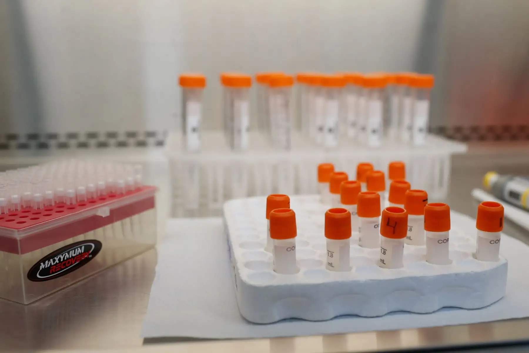 Con el objetivo de ampliar la capacidad de diagnósticos de covid-19 del INS, se implementó un nuevo laboratorio con tecnología de vanguardia para procesar hasta 6 mil pruebas moleculares al día.

Foto: ANDINA/@Minsa_Peru.
