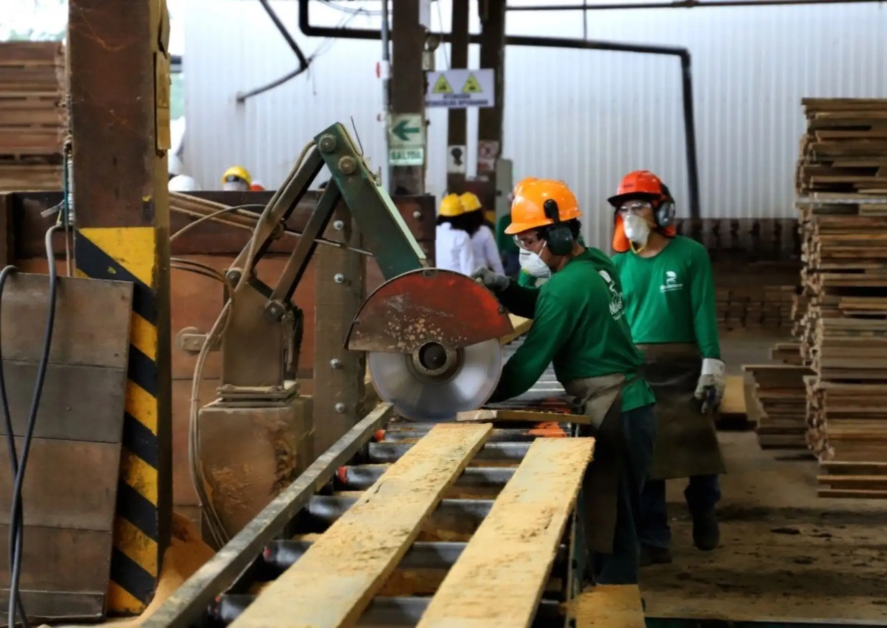Un total de 284 empresas forestales ya están listas para reiniciar sus actividades en el marco del proceso de reactivación económica, afirmó el Serfor. ANDINA/Difusión