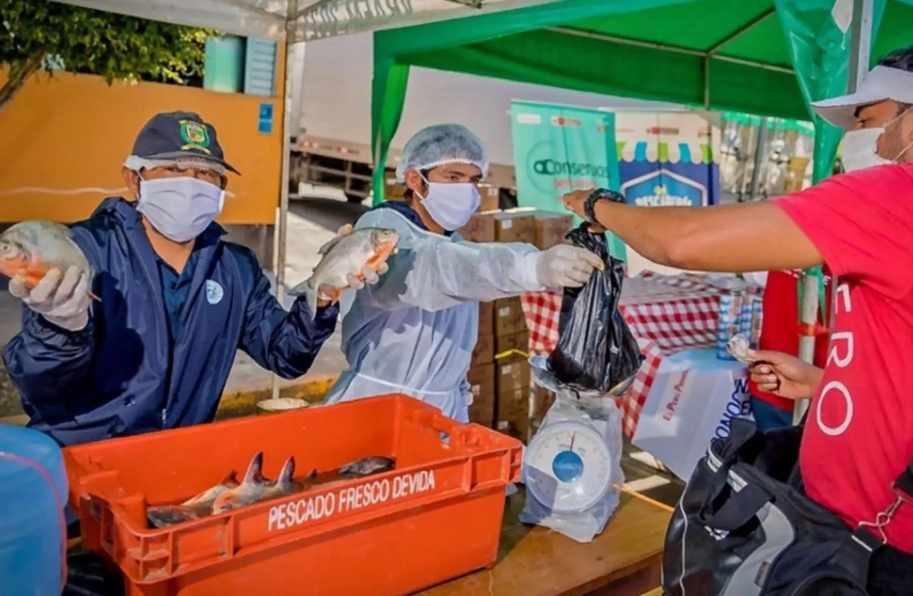 Piscicultores del Vraem concretan ventas de más de 3.7 toneladas de pescado y obtuvieron ingresos por más de S/ 52,000 durante las ferias itinerantes "De la Chacra a la Olla". ANDINA/Difusión